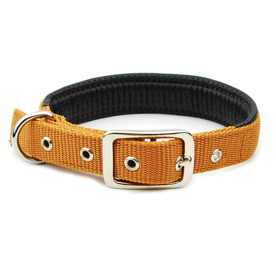 Dansky Wholesale Simple Lead Rope Adjust Pet Collar Polypropylene Webbing With Foam Collar for Pet