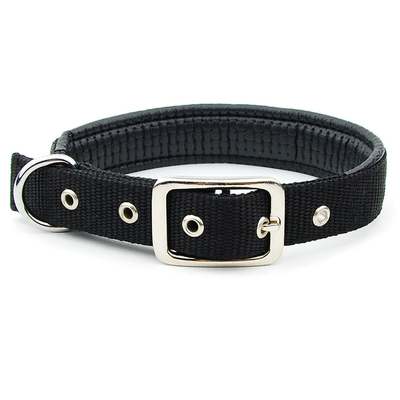 Dansky Wholesale Simple Lead Rope Adjust Pet Collar Polypropylene Webbing With Foam Collar for Pet