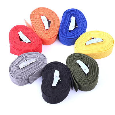 Dansky Wholesale  Customized Ratchet Tie Down Strap 100% Polyester Ratchet Tie Downs Straps with Cam Buckle