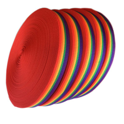 DANSKY Custom High Quality Rainbow Polyester/Nylon Webbing with Jacquard Technique for Garment Decoration and Bag Straps