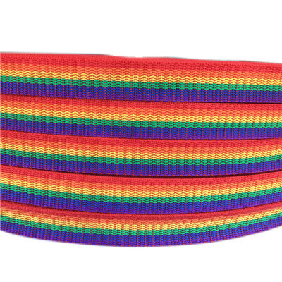 DANSKY Custom High Quality Rainbow Polyester/Nylon Webbing with Jacquard Technique for Garment Decoration and Bag Straps