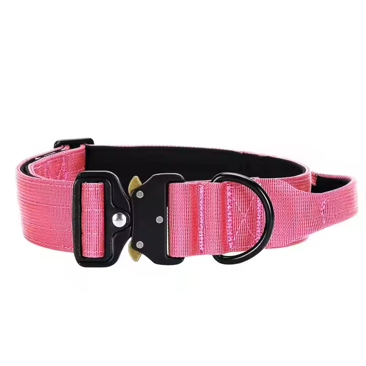 Dansky High Quality Custom Logo Metal Buckle Collar for Dogs Small Medium Large Pet Tactical Dog Collar